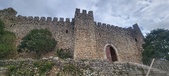 Enlarge photo 77