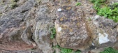 Enlarge photo 131