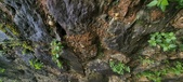 Enlarge photo 279