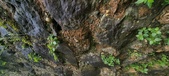 Enlarge photo 280