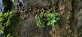 Enlarge photo 281