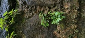 Enlarge photo 282