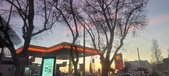 Enlarge photo 141