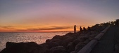Enlarge photo 130