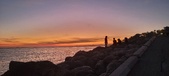 Enlarge photo 129