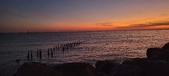 Enlarge photo 121