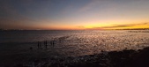 Enlarge photo 107