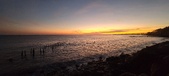 Enlarge photo 105