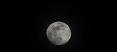 Enlarge photo 92