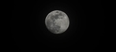 Enlarge photo 91