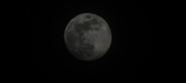 Enlarge photo 90