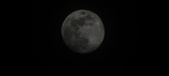 Enlarge photo 89