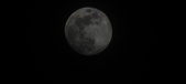 Enlarge photo 88