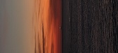 Enlarge photo 78