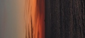 Enlarge photo 74