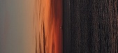 Enlarge photo 73