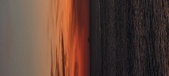 Enlarge photo 72