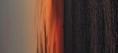 Enlarge photo 71