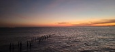 Enlarge photo 69
