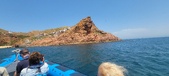 Enlarge photo 183