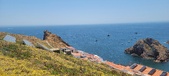 Enlarge photo 41