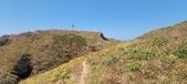 Enlarge photo 45