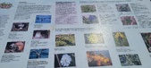 Enlarge photo 53