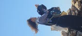 Enlarge photo 60