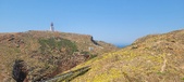 Enlarge photo 62