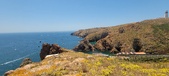 Enlarge photo 67