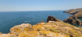 Enlarge photo 76