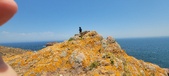 Enlarge photo 78
