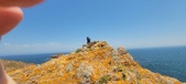 Enlarge photo 79