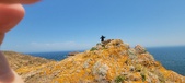 Enlarge photo 80