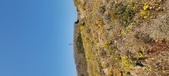 Enlarge photo 81