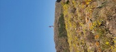 Enlarge photo 82