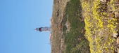 Enlarge photo 83