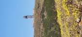 Enlarge photo 85