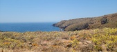 Enlarge photo 88