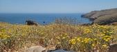 Enlarge photo 89