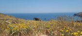 Enlarge photo 90