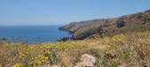Enlarge photo 91