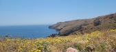 Enlarge photo 92