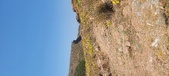 Enlarge photo 93