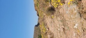 Enlarge photo 94