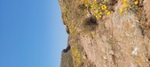 Enlarge photo 95