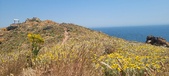 Enlarge photo 96