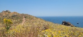 Enlarge photo 97