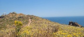 Enlarge photo 98