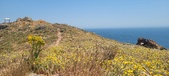 Enlarge photo 99